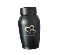 budiniao Urna de Recuerdo para Cenizas de Mascotas, un Reflejo Amor y Recuerdo. Urnas Acero Inoxidable duraderas para Perros, Gatos y Gatitos.