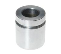 Budweg Caliper A/S Émbolo, pinza del freno para BMW: Série 7, Série 5, M3, Z3, Série 8, M5 (Ref: 234020)