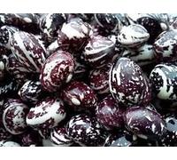 Buena Madre Stallard, 100 semillas de frijol, (Phaseolus) de la herencia, cultivado durante generaciones.