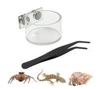 Buerfu Bebedero para Araña Saltarina - Kit De Bebedero - Incluye Pinzas y Decoración para Terrario | para Mantis Lagarto Serpiente Reptiles Pequeños