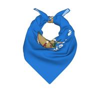 Bufanda cuadrada unisex con estampado de la bandera del estado de Oklahoma, ligera, transpirable, accesorio de moda, banda para el sudor