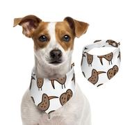 Bufanda de Navidad con bonito estampado de pájaro kiwi, accesorio para invierno, regalo de temporada y traje de vacaciones