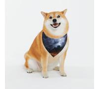 Bufanda para mascotas A Night of Lightning and Thunder para perros, bufanda triangular adecuada para perros pequeños, medianos y grandes, color negro, bandanas para perros