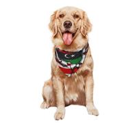 Bufanda Triangular América, Libia, Raíces Libias Mascotas Baberos Decoración Bandana para Uso Diario Suministros De Fiesta 30X70Cm