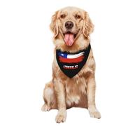 Bufanda Triangular Banderas Chilenas Antiguas Accesorios para Mascotas Triangulares Decoración Bandana Perro Triangular para Suministros De Fiesta Accesorios 30X70Cm