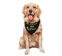 Bufanda Triangular Jesús Es Rey Perros Bandana Perro Triangular Gatos Baberos Bufandas para Grandes Y Pequeños Uso Diario 30X70Cm