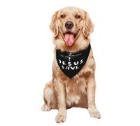 Bufanda Triangular Jesús Salva Mascotas Bandana Gatos Baberos para Uso Diario Grandes Y Pequeños 30X70Cm