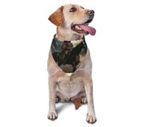 Bufanda triangular para mascotas con estampado de guerreros nativos americanos a caballo para perros y gatos, bandana ajustable para mascotas y sesiones de fotos