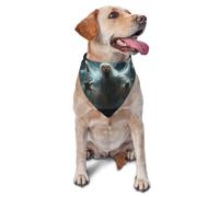 Bufanda triangular para mascotas con estampado de The Ghost Disappeared In The Sunlight, para perros y gatos, bandana ajustable para mascotas y sesiones de fotos
