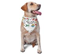 Bufanda triangular para mascotas con estampado de zanahorias y naranjas para perros y gatos, bandana ajustable para mascotas y sesiones de fotos