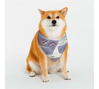 Bufanda triangular para mascotas, diseño de ruinas antiguas, accesorio lavable para mascotas, para niñas, niños, perros o gatos, talla M