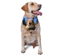 Bufanda Triangular Primer Plano De La Huella De Una Ardilla Curiosa Baberos Bufandas Mascotas Triangulares Decoración Bandana Perro Triangular para Uso Diario Cachorros Y Gatos 30X70Cm