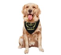 Bufanda Triangular Suecia Sueco Bandera Sueca Logotipo Mascotas Triangulares Perros Baberos Bufandas para Grandes Y Pequeños Cachorros Y Gatos 30X70Cm