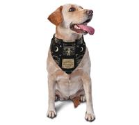 Bufanda Triangular Tablero Espiritual con Un Muñeco Vudú Y Un Conjunto De Ocultismo. Mascotas Triangulares Gatos Bandana Perro Triangular para Cachorros Y Gatos Grandes Y Pequeños