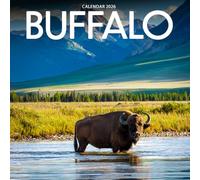 Buffalo 2026 Calendar: Wildlife Photography of Majestic American Bison