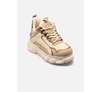 Buffalo CLD CHAI 36 Beige
