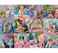 Buffalo Games - Bonjour - Sophie Clima - Collage de Gatos y Perros - Rompecabezas de 1000 Piezas para Adultos - Rompecabezas desafiante Noches de Juegos