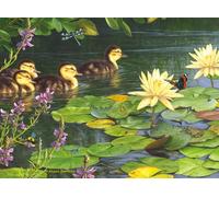 Buffalo Games - Hautman Brothers - Big Day out - Rompecabezas de 1000 Piezas para Adultos - Rompecabezas desafiante Noches de Juegos - El tamaño Final es de 26.75 x 19.75 Pulgadas