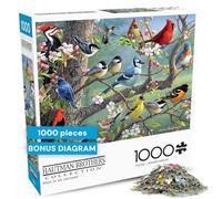 Buffalo Games - Hautman Brothers - Birds in an Orchard - Rompecabezas de 1000 Piezas