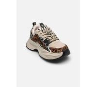 Buffalo Yuno 38 Beige