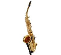 Buffet Crampon Prodige Alto Sax Set