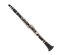 Buffet Prodige Bb Clarinet with Gig Bag Case