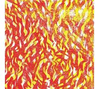 Bug the - Fire (Vinyl Grey Gatefold)