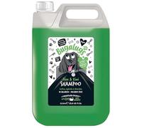 BUGALUGS - Champú Calmante para Perros - Aloe Vera & Kiwi - 5L - Formato Profesional - Hidratación Natural - Piel Sensible - Aroma Fresco - Brillo Saludable - Todo Tipo de Pelaje - Uso Frecuente