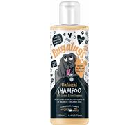 Bugalugs Champú de avena para perros con fragancia de coco y lima 250mL