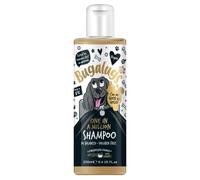 BUGALUGS - Champú One in a Million - Perros - 250ml - Limpieza Profunda con Aroma Premium y Pelaje Suave y Brillante