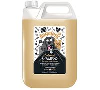 Bugalugs - Champú para Perros - 5L - Avena y Aloe Vera - Hidrata, Calma y Limpia en Profundidad - Sin Sulfatos ni Parabenos - Ideal para Pieles Sensibles y Uso Profesional en Grooming Canino