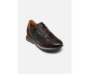 Bugatti Diz 42 Marrón