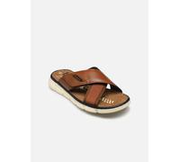 Bugatti Velo 40 Marrón