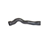 BUGIAD 81620 Tubo flexible de aire de sobrealimentación