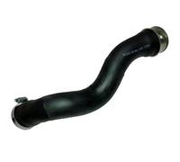 BUGIAD 81896 Tubo flexible de aire de sobrealimentación Compatible con VW SHARAN 7M8, 7M9, 7M6
