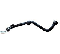 BUGIAD 82053 Tubo flexible de aire de sobrealimentación Compatible con RENAULT KANGOO Express FW0/1 Kangoo 2 / Grand Kangoo KW, KW0/1 KANGOO BE BOP KW0/1