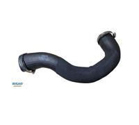 Bugiad 82258 Manguera De Intercooler Para Ford Tourneo Custom V362