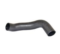 BUGIAD 88705 Tubo flexible de aire de sobrealimentación Compatible con LAND ROVER Freelander SUV L314