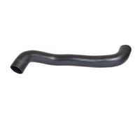 BUGIAD 88750 Tubo flexible de aire de sobrealimentación Compatible con CITROËN Jumpy I MPV U6U, PEUGEOT 806 MPV