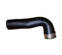 Tubo de aire izquierda 81808 BUGIAD para AUDI VW SEAT SKODA