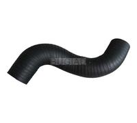 BUGIAD Tubo Admisión Apto para Land Rover Freelander LN 2.0 Di 88606