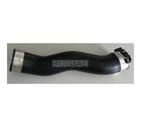 BUGIAD Tubo Admisión para BMW 3er Touring E91 320d X1 E84 xDrive20d