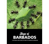 Bugs of Barbados: A Pictorial Field Guide Of Insects & Spiders In Barbados