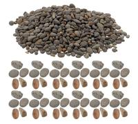 BUGUUYO Bolsa de 50g de Rocas Naturales para Adorno de Peceras y Jardines, Piedra Base para Mini Paisajes Apariencia Realista y Acabado Fino