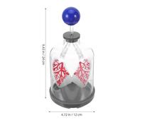 BUGUUYO Modelo de Pulmón Humano Diafragma Azul Transparente, Material Didáctico de Biología para Educación en Casa y Demostración de Expansión Pulmonar, Modelo de Simulación Anatómica