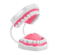 BUGUUYO Modelo Educativo para Adultos Prop de Dientes Ampliado Modelo de Plástico Blanco con Raíces para Enseñanza y Práctica de Higiene Oral