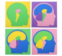 BUGUUYO Puzzle Montessori De Anatomía Cerebral Para Niños 4 Piezas Multicolor, Modelo Educativo De Estructura Del Cerebro Humano, Juego Didáctico Para Desarrollo Cognitivo y Aprendizaje Preescolar
