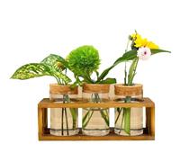 Buhdjfnke Estación de Propagación, Terrario de Plantas de Vidrio para Cortar Plantas, Mejora la Decoración del Hogar, Pieza Central Interior para los Amantes de Las Plantas