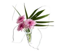 Buhdjfnke Jarrón de Flores con Forma de Mariposa: Jarrones de Acrílico Transparente para Flores, Jarrón Moderno con una Sola Rosa para Decoración del Hogar, Jarrones Decorativos.