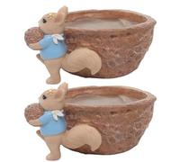 Buhdjfnke Tuerca de Ardilla, Maceta de Resina para Jardín, Jardinería de Escritorio, Maceta Suculenta, Decoración de Plantas, Nueces